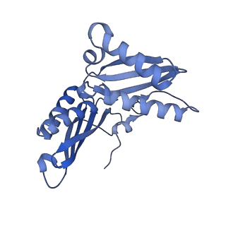 13245_7p7u_d_v1-1
E. faecalis 70S ribosome with P-tRNA, state IV