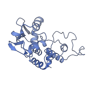 13245_7p7u_e_v1-1
E. faecalis 70S ribosome with P-tRNA, state IV