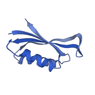 13245_7p7u_g_v1-1
E. faecalis 70S ribosome with P-tRNA, state IV
