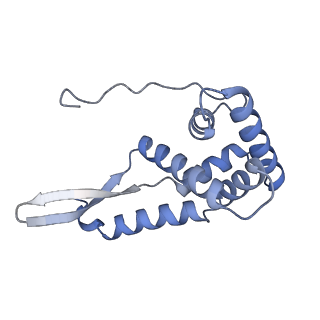 13245_7p7u_h_v1-1
E. faecalis 70S ribosome with P-tRNA, state IV