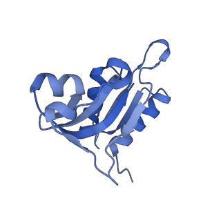 13245_7p7u_i_v1-1
E. faecalis 70S ribosome with P-tRNA, state IV