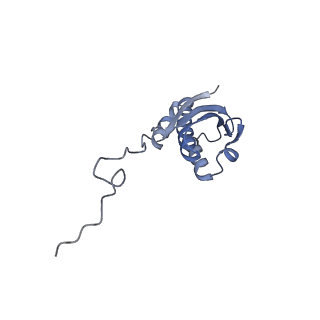 13245_7p7u_j_v1-1
E. faecalis 70S ribosome with P-tRNA, state IV