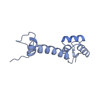 13245_7p7u_n_v1-1
E. faecalis 70S ribosome with P-tRNA, state IV