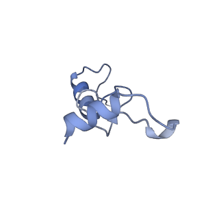 13245_7p7u_o_v1-1
E. faecalis 70S ribosome with P-tRNA, state IV