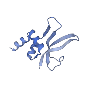 13245_7p7u_q_v1-1
E. faecalis 70S ribosome with P-tRNA, state IV