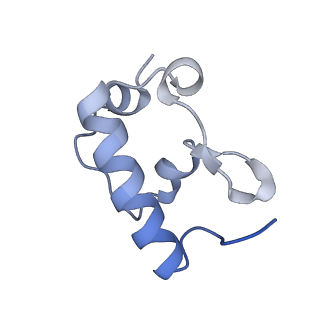 13245_7p7u_s_v1-1
E. faecalis 70S ribosome with P-tRNA, state IV