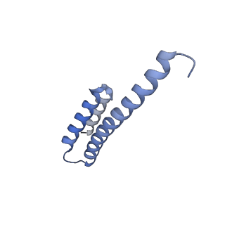 13245_7p7u_u_v1-1
E. faecalis 70S ribosome with P-tRNA, state IV