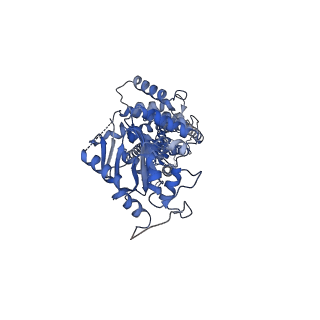 17537_8p7w_A_v1-1
Structure of 5D3-Fab and nanobody(Nb8)-bound ABCG2