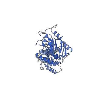 17537_8p7w_B_v1-1
Structure of 5D3-Fab and nanobody(Nb8)-bound ABCG2