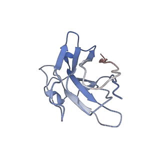 17537_8p7w_C_v1-1
Structure of 5D3-Fab and nanobody(Nb8)-bound ABCG2