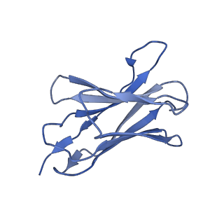 17537_8p7w_F_v1-1
Structure of 5D3-Fab and nanobody(Nb8)-bound ABCG2