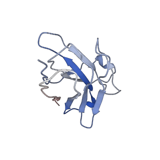 17537_8p7w_Y_v1-1
Structure of 5D3-Fab and nanobody(Nb8)-bound ABCG2