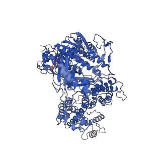 20266_6p7m_A_v1-3
Cryo-EM structure of LbCas12a-crRNA: AcrVA4 (1:2 complex)