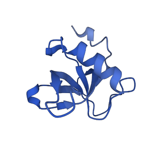 20266_6p7m_C_v1-3
Cryo-EM structure of LbCas12a-crRNA: AcrVA4 (1:2 complex)