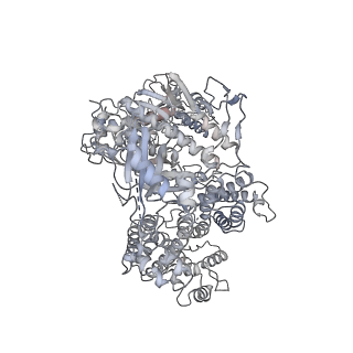 20267_6p7n_A_v1-3
Cryo-EM structure of LbCas12a-crRNA: AcrVA4 (2:2 complex)