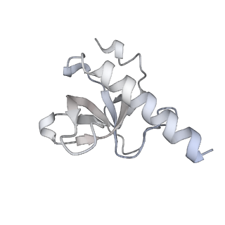 20267_6p7n_C_v1-3
Cryo-EM structure of LbCas12a-crRNA: AcrVA4 (2:2 complex)