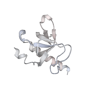 20267_6p7n_G_v1-3
Cryo-EM structure of LbCas12a-crRNA: AcrVA4 (2:2 complex)