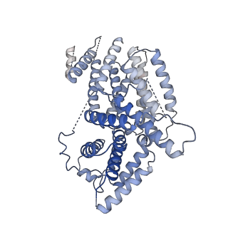 20270_6p7v_A_v1-3
Structure of the K. lactis CBF3 core