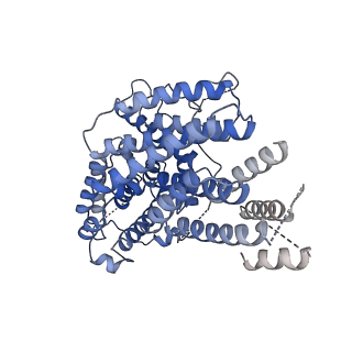 20270_6p7v_B_v1-2
Structure of the K. lactis CBF3 core