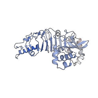 20270_6p7v_C_v1-3
Structure of the K. lactis CBF3 core