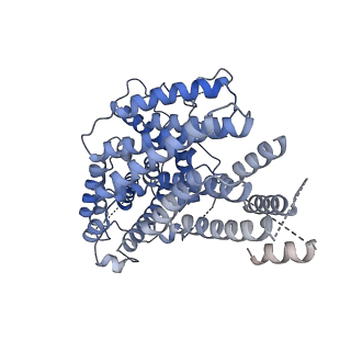 20271_6p7w_B_v1-2
Structure of the K. lactis CBF3 core - Ndc10 D1 complex