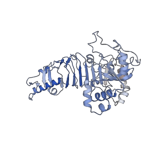 20271_6p7w_C_v1-2
Structure of the K. lactis CBF3 core - Ndc10 D1 complex