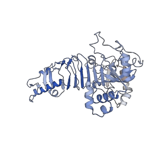 20271_6p7w_C_v1-3
Structure of the K. lactis CBF3 core - Ndc10 D1 complex