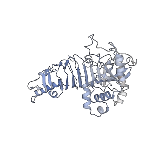 20272_6p7x_C_v1-2
Structure of the K. lactis CBF3 core - Ndc10 D1D2 complex