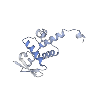 20272_6p7x_D_v1-3
Structure of the K. lactis CBF3 core - Ndc10 D1D2 complex