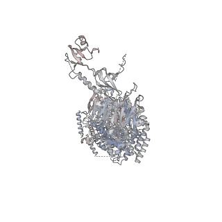 17540_8p83_A_v1-2
Cryo-EM structure of full-length human UBR5 (homotetramer)