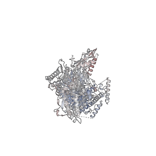 17540_8p83_B_v1-2
Cryo-EM structure of full-length human UBR5 (homotetramer)