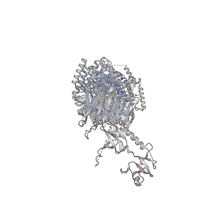 17540_8p83_D_v1-2
Cryo-EM structure of full-length human UBR5 (homotetramer)