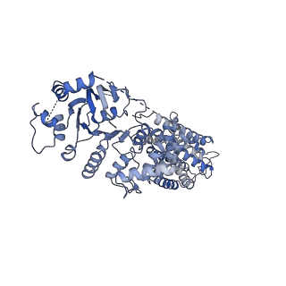 17543_8p8a_A_v1-1
Structure of 5D3-Fab and nanobody(Nb17)-bound ABCG2