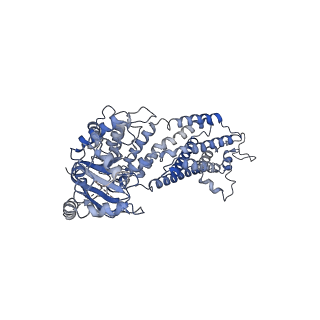 17543_8p8a_B_v1-1
Structure of 5D3-Fab and nanobody(Nb17)-bound ABCG2