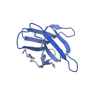 17543_8p8a_C_v1-1
Structure of 5D3-Fab and nanobody(Nb17)-bound ABCG2