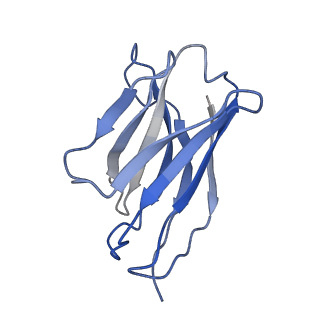 17543_8p8a_D_v1-1
Structure of 5D3-Fab and nanobody(Nb17)-bound ABCG2