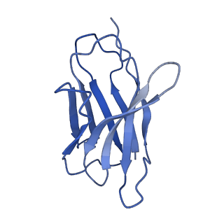 17543_8p8a_F_v1-1
Structure of 5D3-Fab and nanobody(Nb17)-bound ABCG2