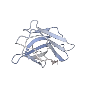 17543_8p8a_Z_v1-1
Structure of 5D3-Fab and nanobody(Nb17)-bound ABCG2