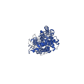17547_8p8j_A_v1-1
Structure of 5D3-Fab and nanobody(Nb96)-bound ABCG2