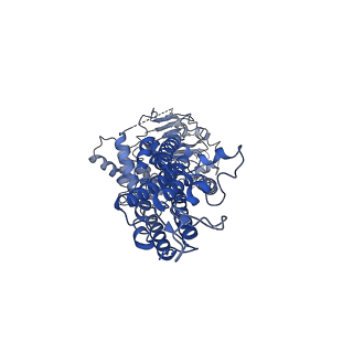17547_8p8j_B_v1-1
Structure of 5D3-Fab and nanobody(Nb96)-bound ABCG2