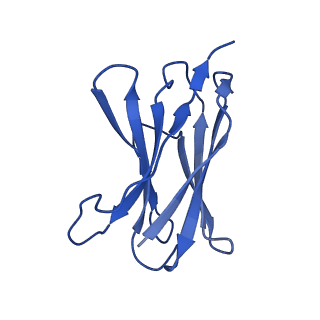 17547_8p8j_D_v1-1
Structure of 5D3-Fab and nanobody(Nb96)-bound ABCG2