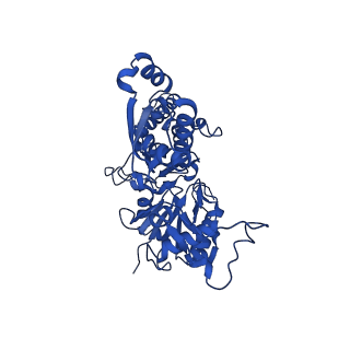 17558_8p94_A_v1-2
Cryo-EM structure of cortactin stabilized Arp2/3-complex nucleated actin branches