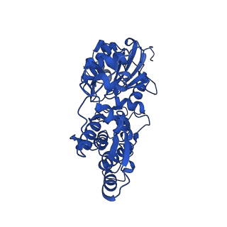 17558_8p94_B_v1-2
Cryo-EM structure of cortactin stabilized Arp2/3-complex nucleated actin branches