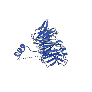 17558_8p94_C_v1-2
Cryo-EM structure of cortactin stabilized Arp2/3-complex nucleated actin branches