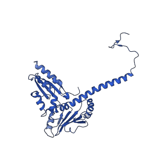 17558_8p94_D_v1-1
Cryo-EM structure of cortactin stabilized Arp2/3-complex nucleated actin branches