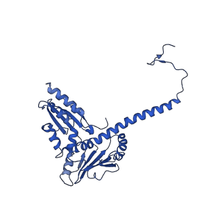 17558_8p94_D_v1-2
Cryo-EM structure of cortactin stabilized Arp2/3-complex nucleated actin branches