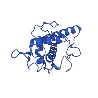 17558_8p94_E_v1-1
Cryo-EM structure of cortactin stabilized Arp2/3-complex nucleated actin branches