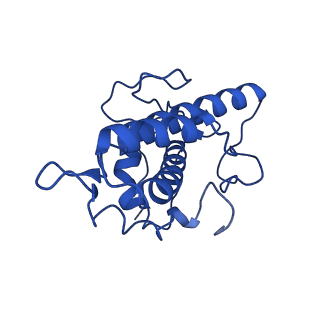 17558_8p94_E_v1-2
Cryo-EM structure of cortactin stabilized Arp2/3-complex nucleated actin branches