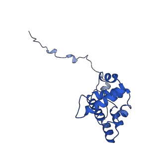 17558_8p94_G_v1-1
Cryo-EM structure of cortactin stabilized Arp2/3-complex nucleated actin branches