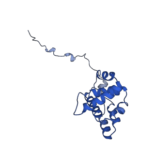 17558_8p94_G_v1-2
Cryo-EM structure of cortactin stabilized Arp2/3-complex nucleated actin branches